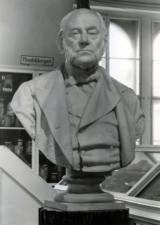 Karl von Rokitansky's bust, Josephinum, Vienna (by Julia Rudiger) - 02.jpg
